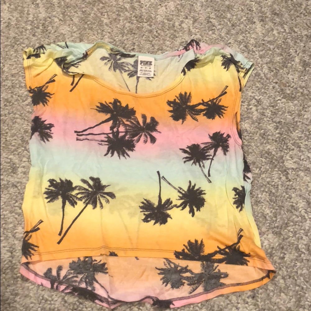 Rainbow palm tree top
